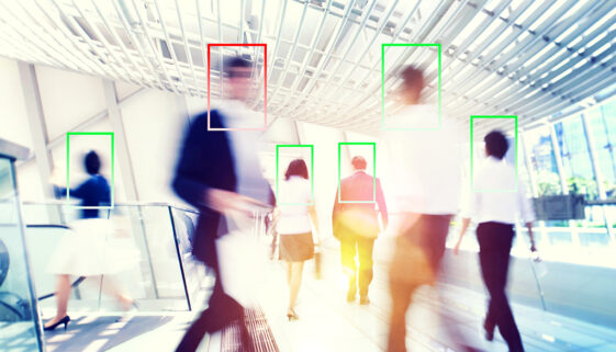 Gerrymandering(1) Digital: Como as Redes Manipulam Eleições no Brasil