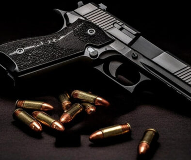 Bolsa Pistola, mais uma dos parlamentares inimigos do povo